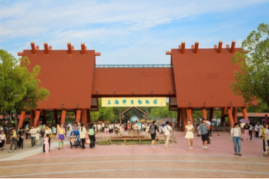 美麗景區(qū)丨上海野生動(dòng)物園：人與動(dòng)物和諧共生的生態(tài)文旅新地標(biāo)