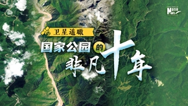 衛(wèi)星遙瞰，國家公園的非凡十年