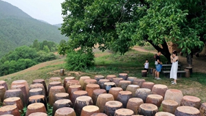 將藝術(shù)注入鄉(xiāng)野&mdash;&mdash;一位陶瓷藝術(shù)家的鄉(xiāng)村振興實踐