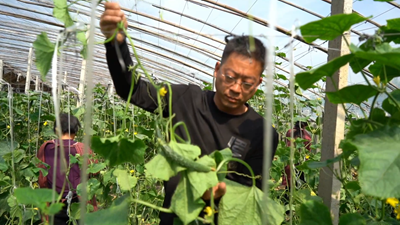 點亮自強自立&ldquo;心燈&rdquo;！聽聽這些殘疾人的創(chuàng)業(yè)就業(yè)故事