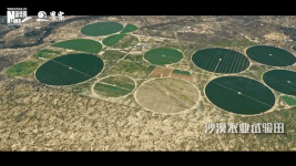衛(wèi)星見(jiàn)證，荒漠變綠洲
