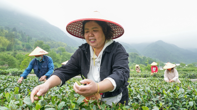 守&ldquo;綠&rdquo;換&ldquo;金&rdquo;！大別山區(qū)&ldquo;兩山&rdquo;實踐創(chuàng)新基地觀察
