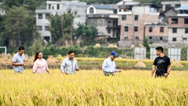 新農(nóng)人給鄉(xiāng)村振興帶來哪些新面貌？
