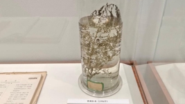 獻給世界的禮物&mdash;&mdash;&ldquo;青蒿素研究&rdquo;持續(xù)助力全球抗瘧