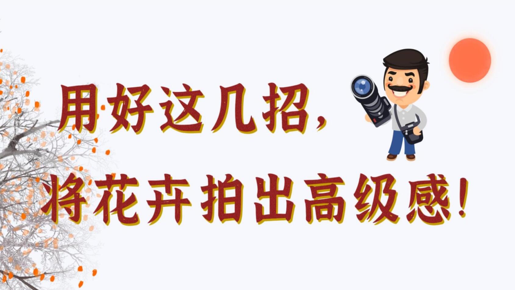 【光影輕課堂】用好這幾招，將花卉拍出高級感！