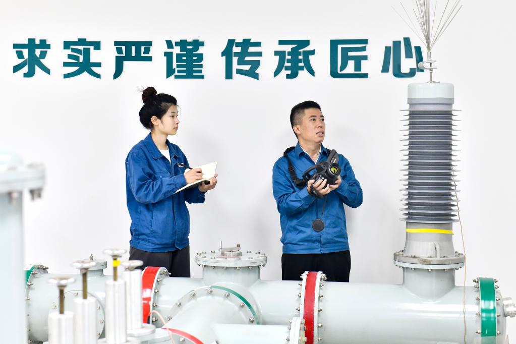 新華全媒+&middot;二十大代表在基層丨馮新巖：攻堅(jiān)克難筑牢國(guó)家電網(wǎng)安全防線