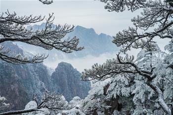 鏡觀中國&middot;新華社國內(nèi)新聞?wù)掌恢芫x