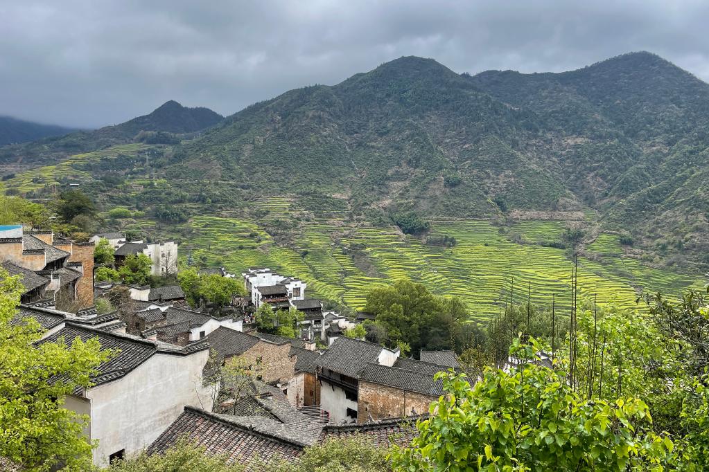 &ldquo;種風(fēng)景&rdquo;的新農(nóng)人