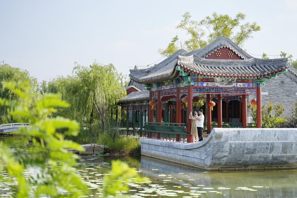 河北開平：采煤塌陷區(qū)的&ldquo;綠色轉(zhuǎn)身&rdquo;