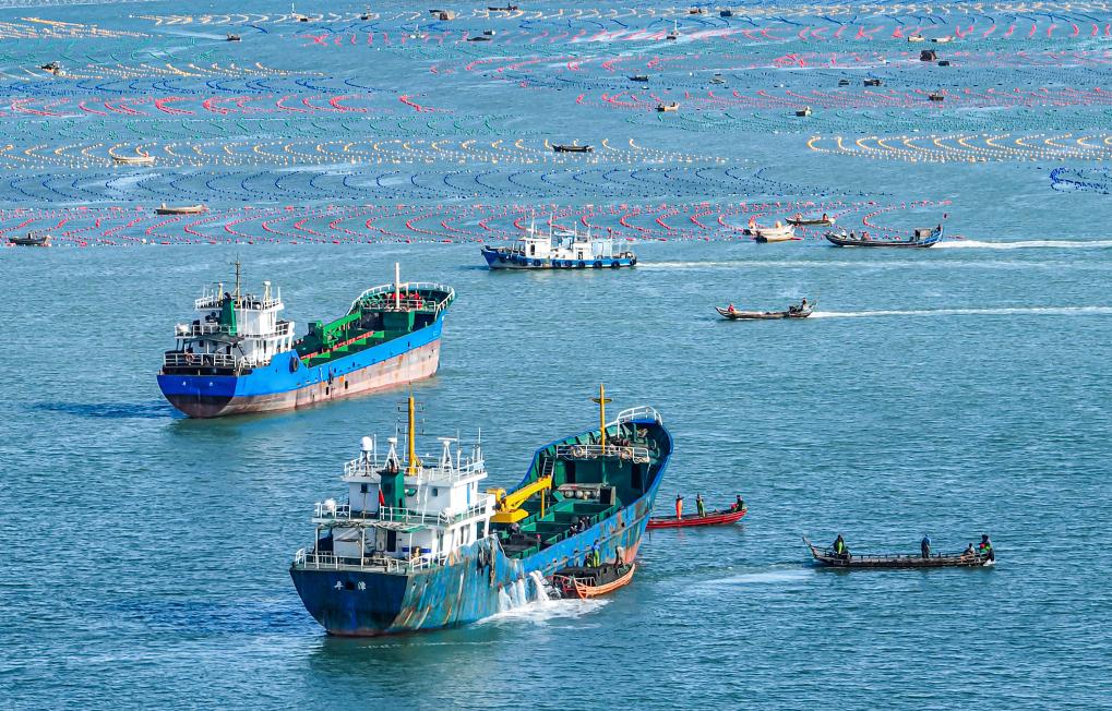 山東榮成：鮑魚&ldquo;南下&rdquo;開啟越冬之旅