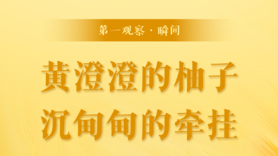 第一觀察·瞬間丨黃澄澄的柚子，沉甸甸的牽掛
