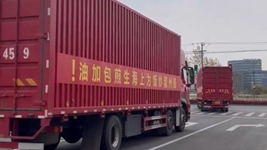 那只&ldquo;跳進(jìn)&rdquo;愛(ài)心蔬菜包的手機(jī)咋樣啦？請(qǐng)聽(tīng)刷屏&ldquo;奇遇&rdquo;后續(xù)&hellip;&hellip;