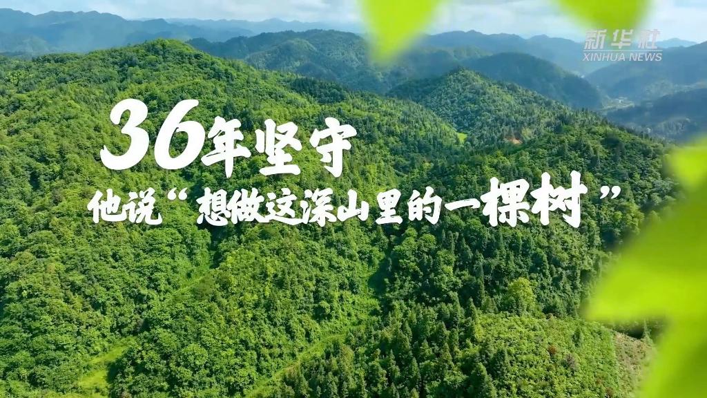 36年堅(jiān)守！他說(shuō)&ldquo;想做這深山里的一棵樹(shù)&rdquo;