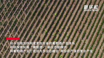 寧夏著力打造多業(yè)態(tài)融合葡萄酒產業(yè)