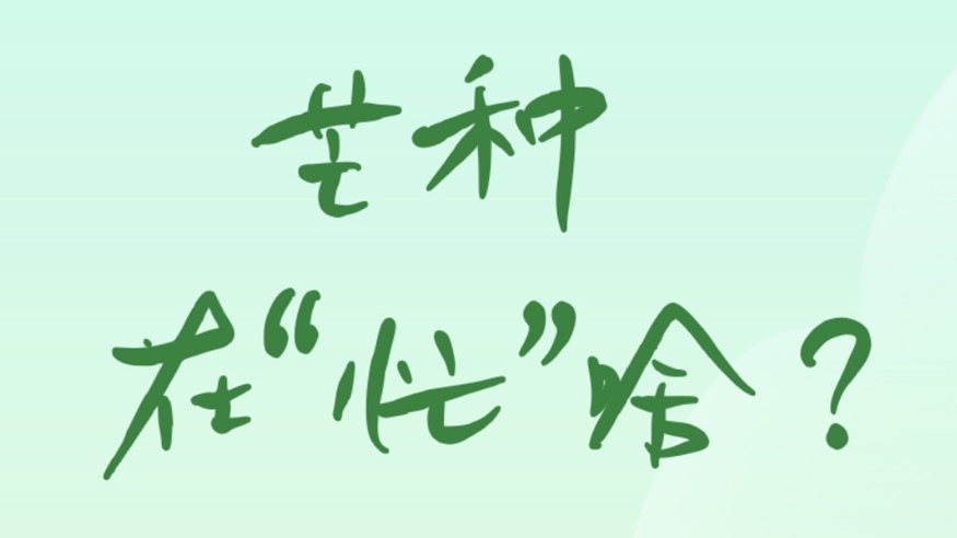芒種在&ldquo;忙&rdquo;啥？