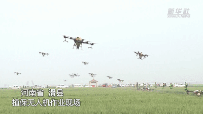 無人機(jī)飛防&ldquo;蟲口奪糧&rdquo; 護(hù)航夏糧保豐收