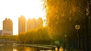 堅(jiān)持必能勝利&mdash;&mdash;寫在吉林省生產(chǎn)生活秩序有序恢復(fù)之際