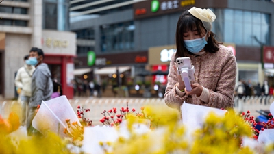 從斗南&ldquo;花語(yǔ)&rdquo;聆聽(tīng)奮進(jìn)足音&mdash;&mdash;&ldquo;亞洲花都&rdquo;傳奇
