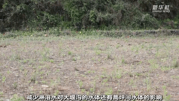 曾經(jīng)被&ldquo;遺棄&rdquo;的它們 搬到新家啦！