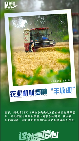 這就是信心｜好一派豐收景象！