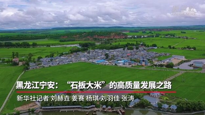 黑龍江寧安：&ldquo;石板大米&rdquo;的高質(zhì)量發(fā)展之路