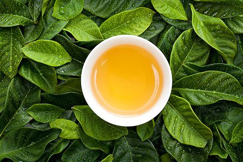 茶安全&bull; 追蹤茶葉農(nóng)殘問題真相