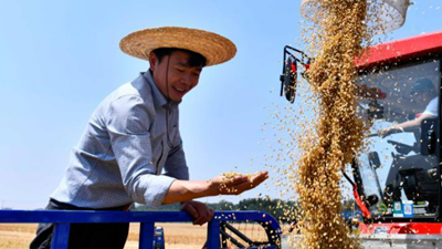 廣開食源耘天下&mdash;&mdash;探尋&ldquo;大食物觀&rdquo;在基層的生動實踐